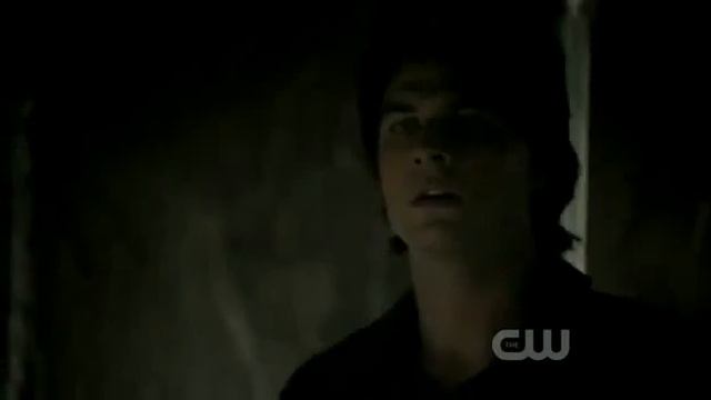 Vampire Diaries 3x10 - Damon and Stefan - " I did it to safe you" смотреть онлайн
