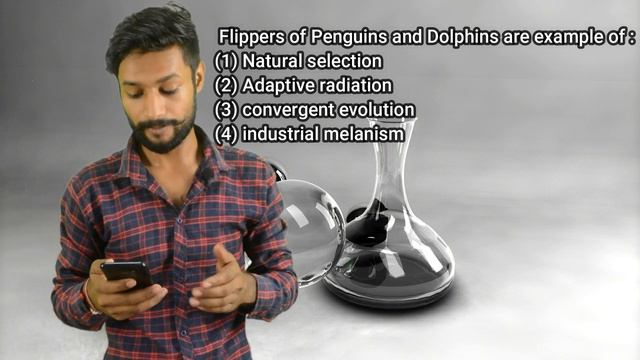 Neet Exam 2020 Biology Answer Key Part 2 By Akash Garg in Details #02 смотреть онлайн