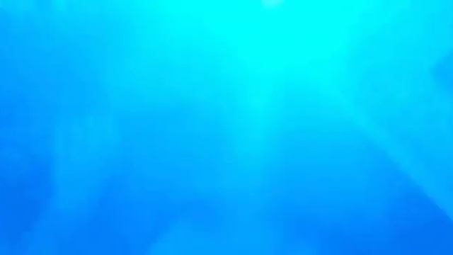 Линя смотреть онлайн