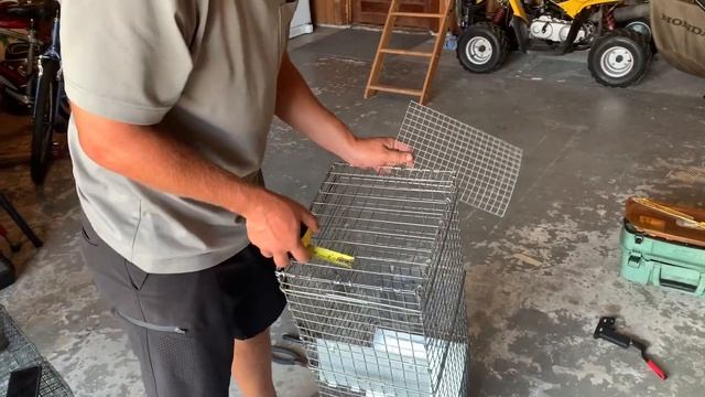 How to make your cage trap better!!! #Outdoors #Trapping #Raccoon смотреть онлайн