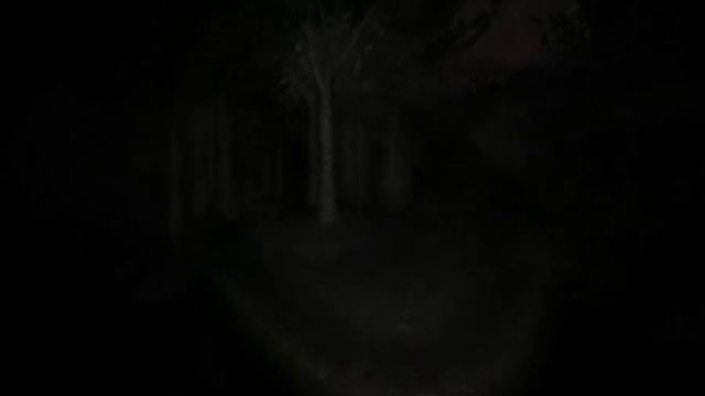 Let's play Slender - часть 5 - Загнанный в ловушку by MeteorRed смотреть онлайн