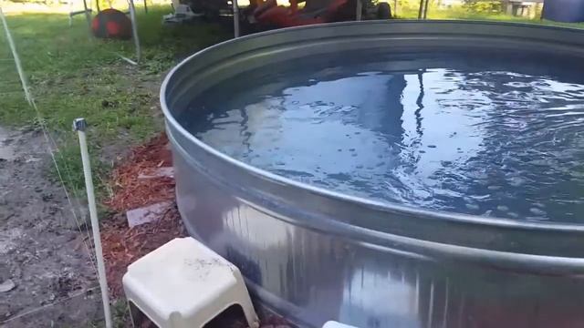 10 ft stock tank project смотреть онлайн