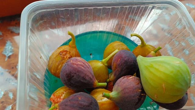 Варенье из инжира смотреть онлайн