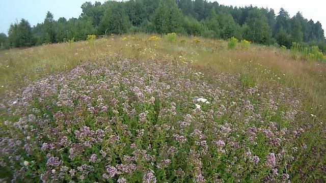Места всем хватит... смотреть онлайн