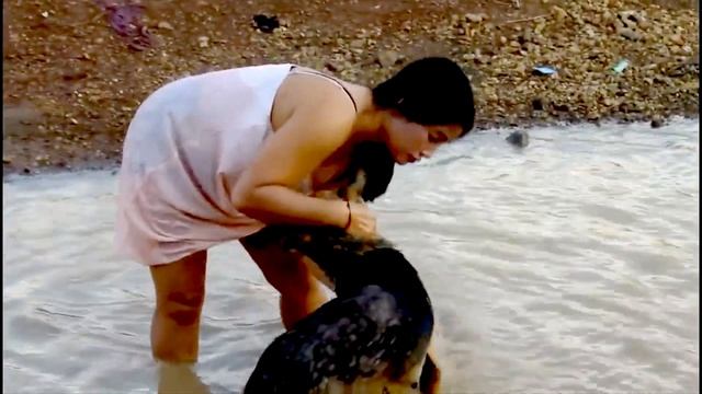 Wow !!! Amazing Beautiful Girl Playing With Do Smart & Funny Dog смотреть онлайн