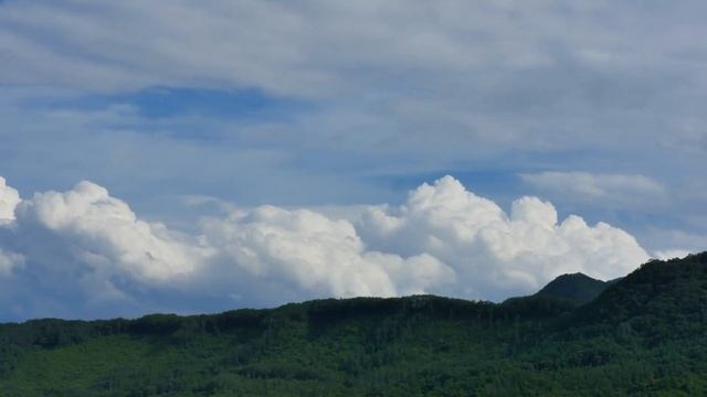 Вместе мы сила потенциальный стержень наш неоценим смотреть онлайн