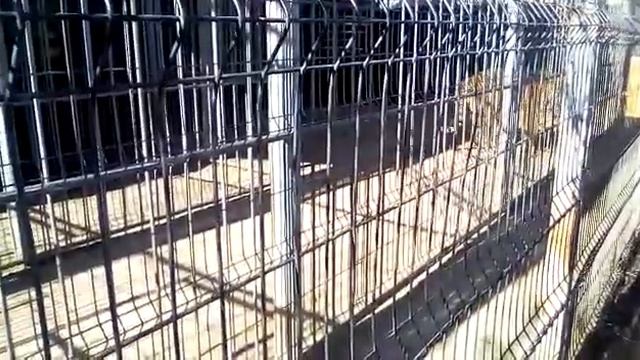 Тверь Питер смотреть онлайн