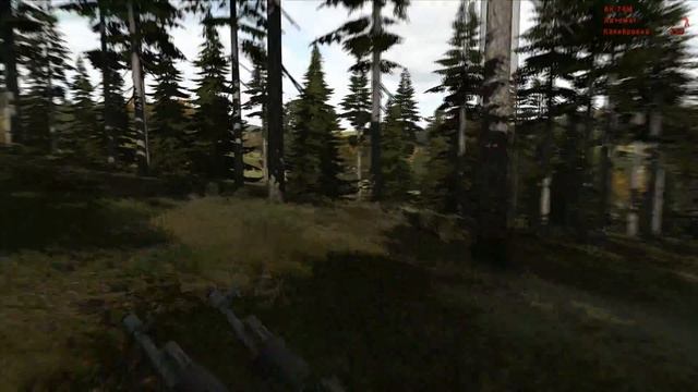 Странности.. смотреть онлайн