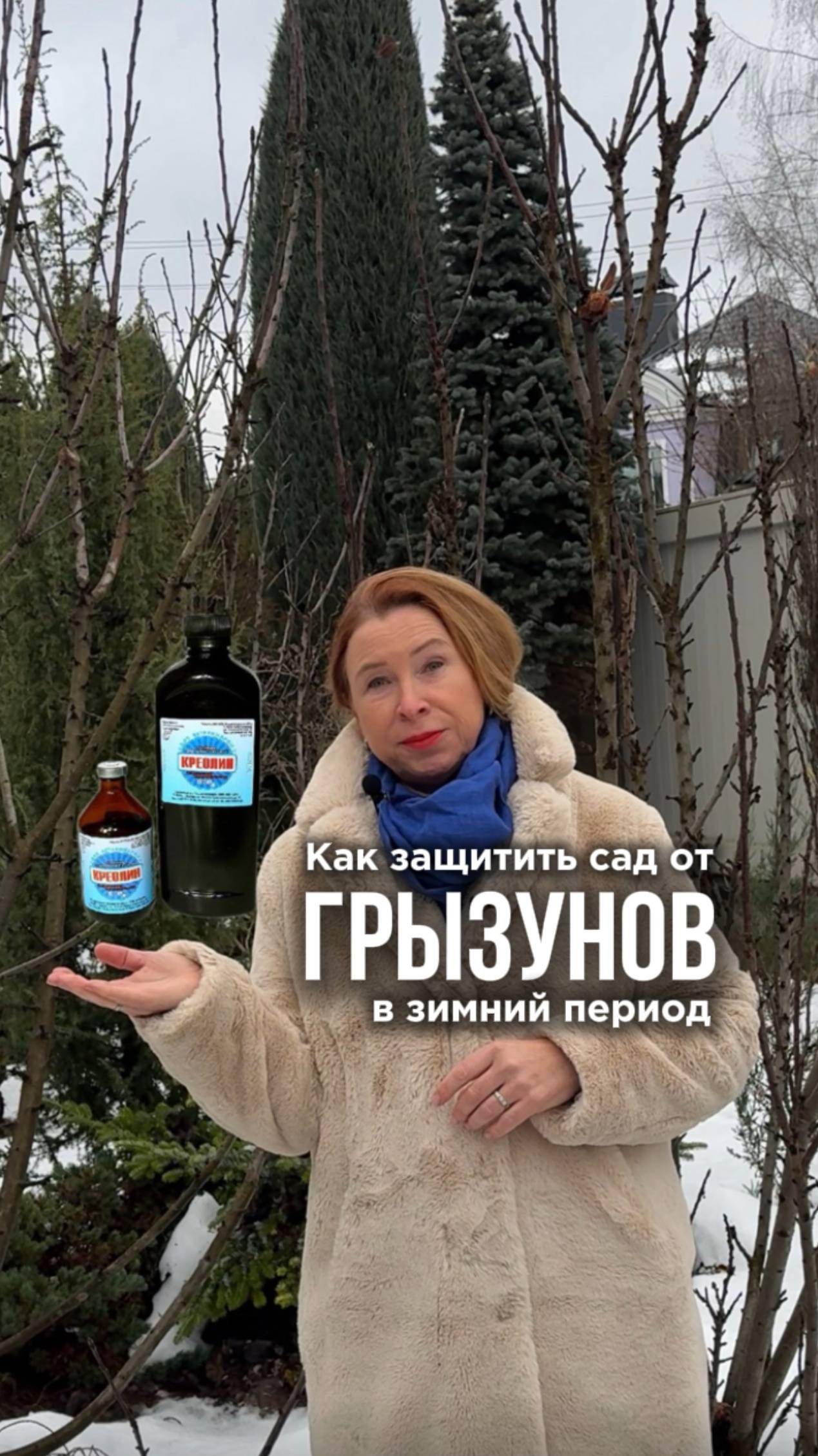 Как защитить сад от грызунов в зимний период? смотреть онлайн