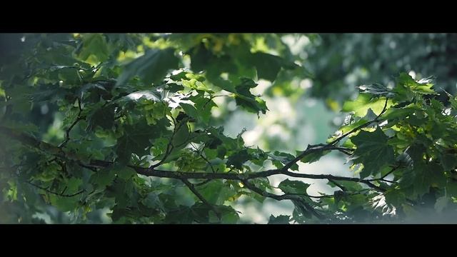 01 Артем и Диана СВ КЛИП 30 08 2019 fin смотреть онлайн