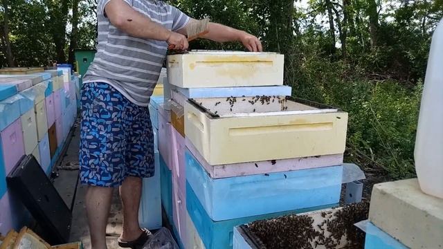 ПАСЕКА ДОКАЧИВАЕМ МАЙСКИЙ МЁД. смотреть онлайн