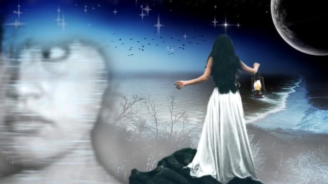 (Fan Video) Diana Ankudinova's Fields Of Stars [Sonitus Terra & SVStudio]