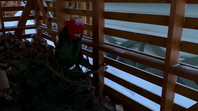 My mini vlog from the weekend / Мой маленький влог с выходных смотреть онлайн