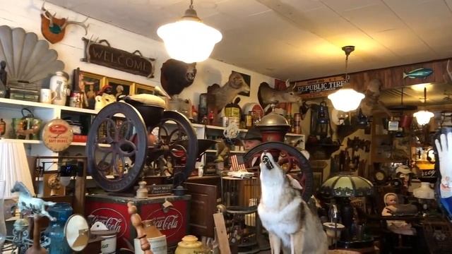 Wilson's Antiques & Curiosities - Mr. Bogart Guts смотреть онлайн