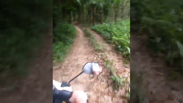 Road from rain forest смотреть онлайн