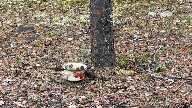 Леший 2 vs жига Пятерочки | Leshiy 2 vs Lighter смотреть онлайн