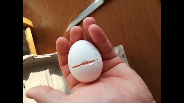 Всем доброе утро