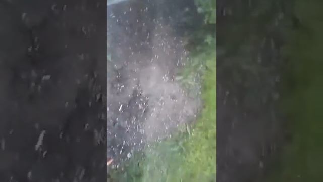 18 июня 2017 г. смотреть онлайн