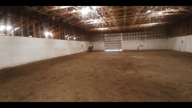 Rainy Day at the Barn/Playing with Emira смотреть онлайн