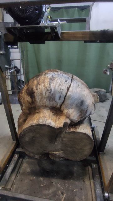 Подготовка к распиловке дубового каппа на самодельной пилораме . смотреть онлайн