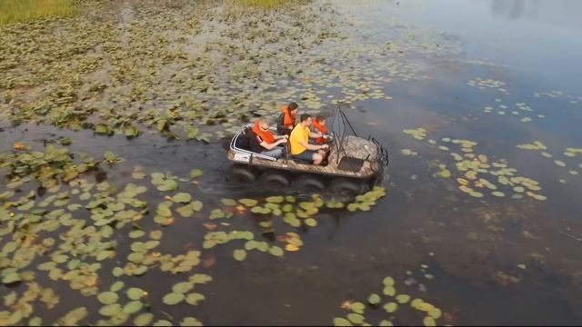 Clip 5 смотреть онлайн