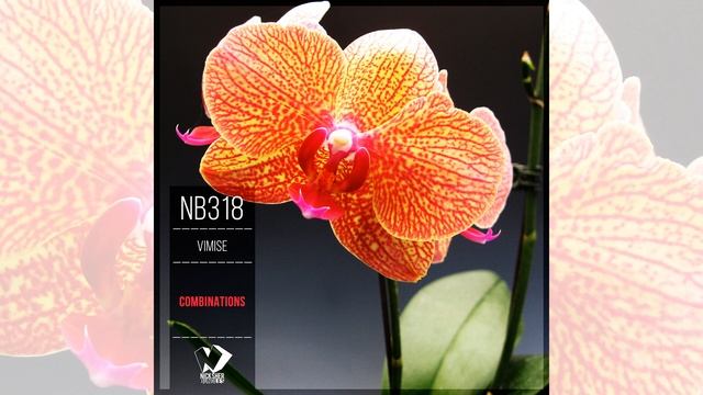 Vimise - Riot Rush (Original Mix) смотреть онлайн