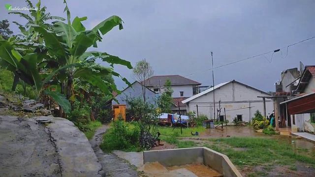 Walking under heavy rain in Indonesian village || Rain sound for sleeping with music | ASMR insomni смотреть онлайн