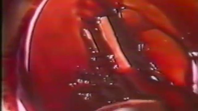 Castrol Анатомия моторного масла