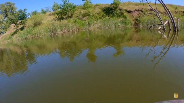 Сплав на SUP борде по р. Чир г. Суровикино 2 Часть. смотреть онлайн