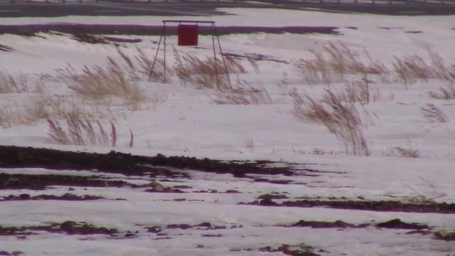 Из 22lr на 225 метров в сильный ветер смотреть онлайн