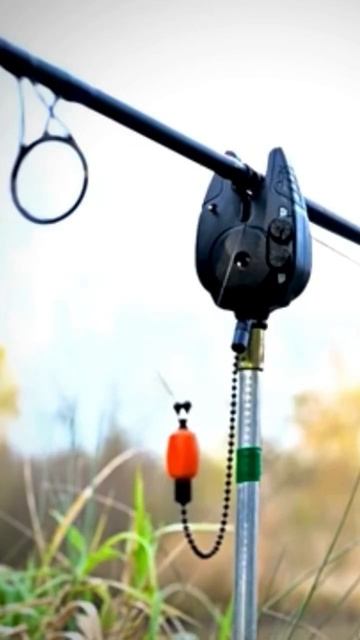 Сигнализаторы FOX Micron MX #shorts #carp #carpfishing #рыбалка #fishing #short смотреть онлайн