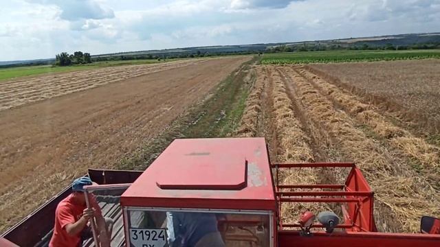 Жнива пшениці 24.08.2021👍💪 смотреть онлайн
