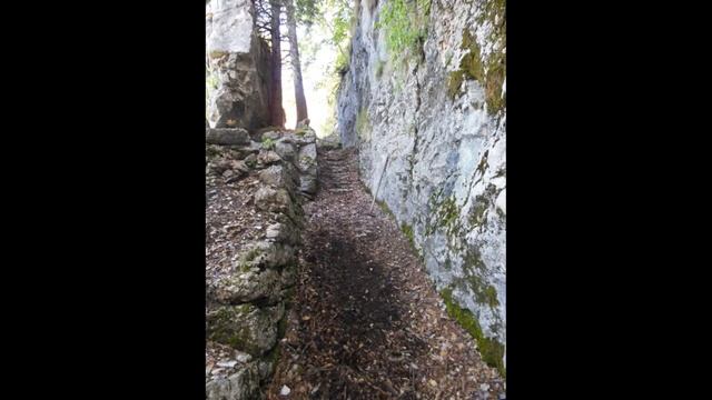 Forra del Lupo/Wolfsschlucht 2020 смотреть онлайн