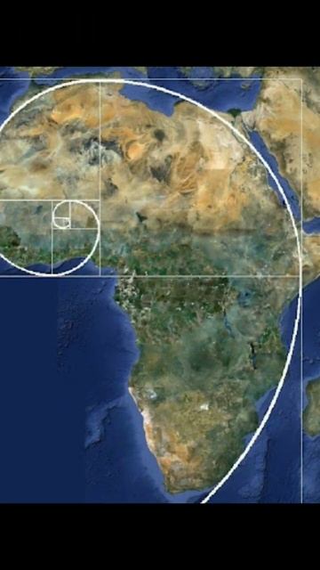 The Fibonacci sequence can also be found in the universe and nature! #universe смотреть онлайн