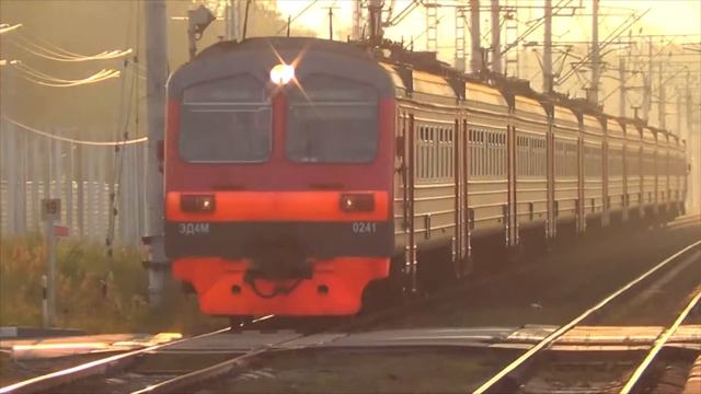Электропоезд ЭД4М-0241 платформа Салтыковская смотреть онлайн