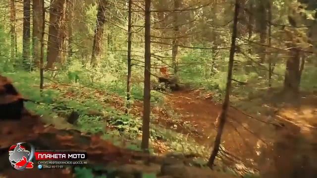 Квадрик STELS GUEPARD апрель 2016+ смотреть онлайн
