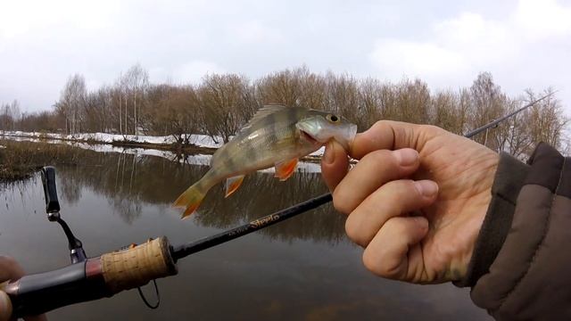 Зимний Спиннинг Теплушка MUKAI Air Stick ASWS 1612ML FS Steelo смотреть онлайн