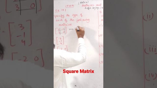 Square Matrix смотреть онлайн