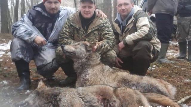 На волков 2020 смотреть онлайн