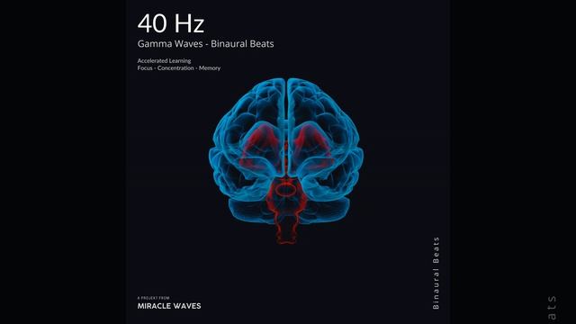 40 Hz Gamma Waves For Focus - Binaural Beats