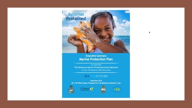 Planning in The Bahamas: History, Culture and Conservation смотреть онлайн