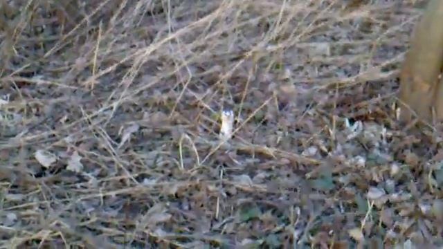 10042010044.mp4 смотреть онлайн