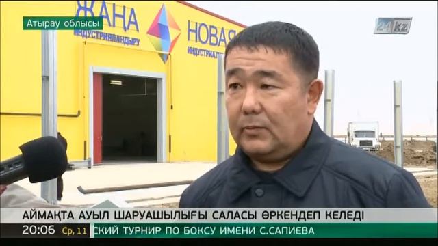 Жүн өңдеу фабрикасы 450 тонна шикізат өңдеуді жоспарлап отыр смотреть онлайн