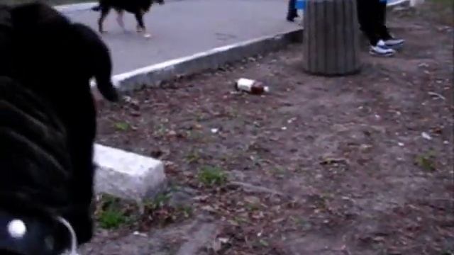Прогулка в парке с музыкой смотреть онлайн