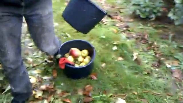 Приколи на роботі смотреть онлайн