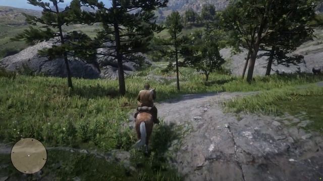 Red Dead Redemption 2 Rock Carving Location #8 South of Moonstone Pond смотреть онлайн