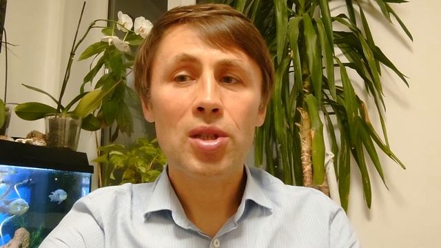 40th anniversary bombeiros Pico смотреть онлайн