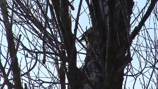 Погода на 19 ноября смотреть онлайн