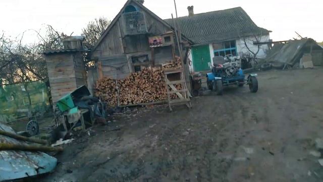 Спортивні голуби. Молоді 2021🥳 смотреть онлайн