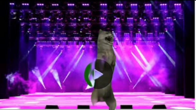Мемчики 1 серия #хочуврек #мем #мемы #ихвильнихт #максвелл #сериал #топ #пжактив смотреть онлайн